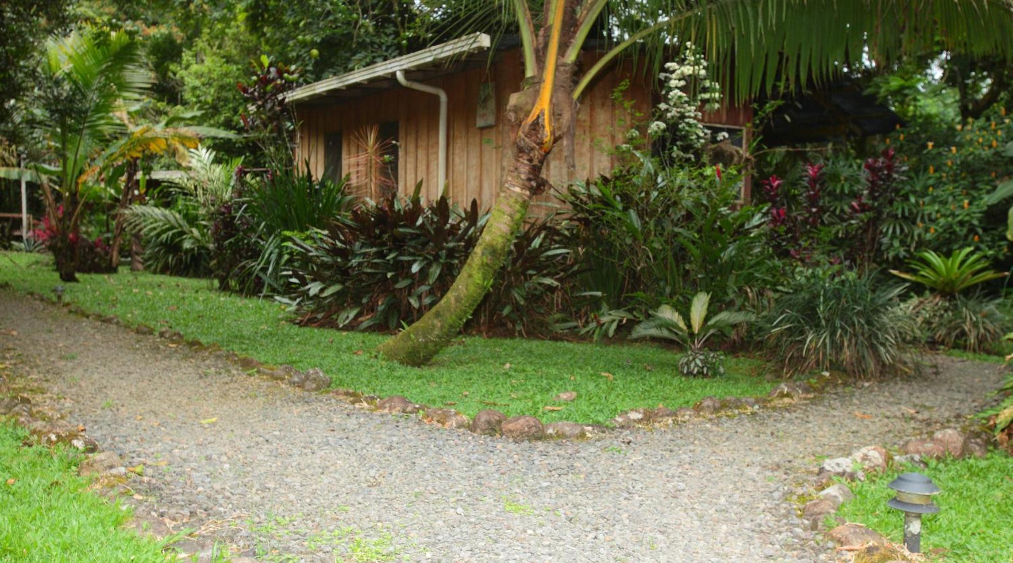 Casa Rio Blanco Eco Friendly B&B Guápiles Екстериор снимка