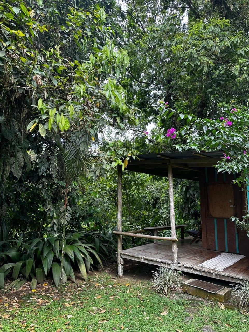 Casa Rio Blanco Eco Friendly B&B Guápiles Екстериор снимка