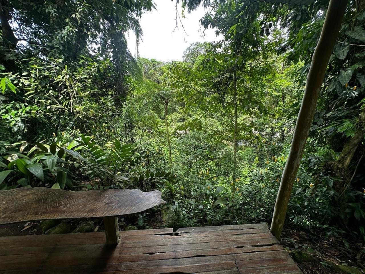 Casa Rio Blanco Eco Friendly B&B Guápiles Екстериор снимка