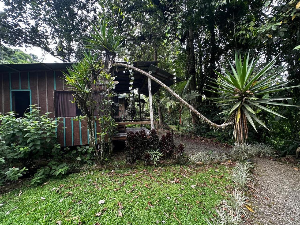 Casa Rio Blanco Eco Friendly B&B Guápiles Екстериор снимка