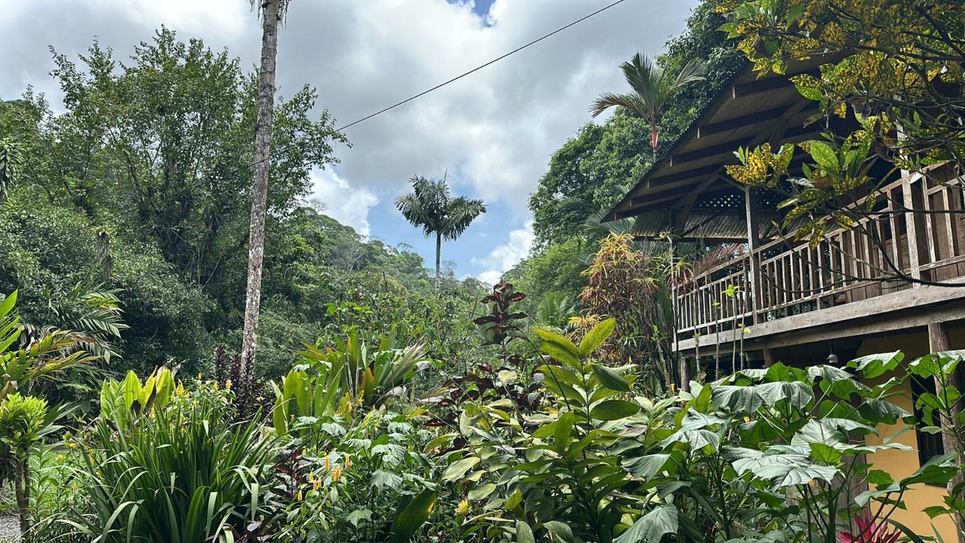 Casa Rio Blanco Eco Friendly B&B Guápiles Екстериор снимка