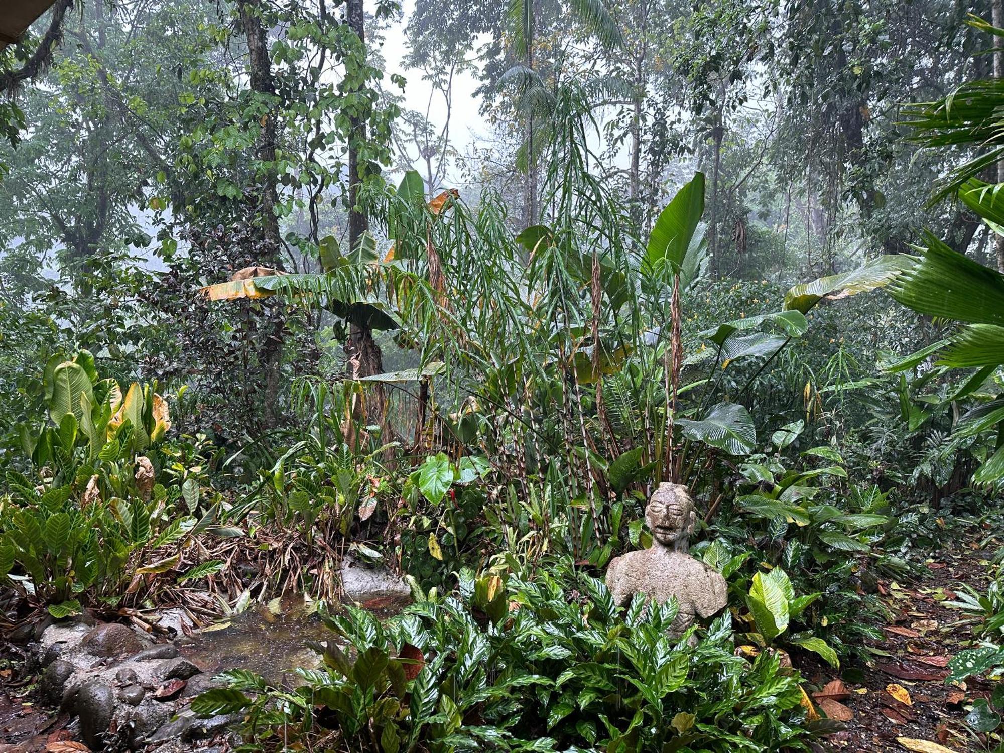 Casa Rio Blanco Eco Friendly B&B Guápiles Екстериор снимка