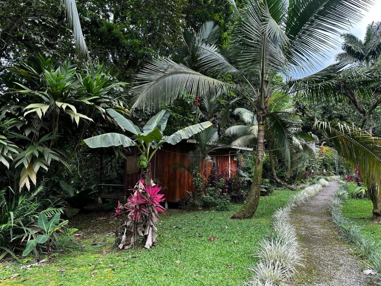Casa Rio Blanco Eco Friendly B&B Guápiles Екстериор снимка