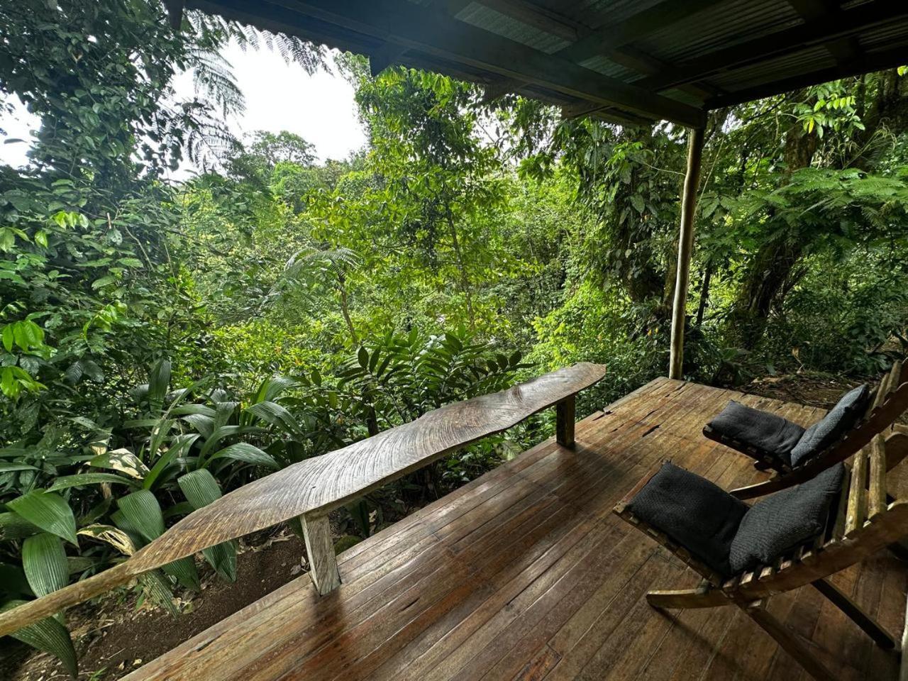 Casa Rio Blanco Eco Friendly B&B Guápiles Екстериор снимка