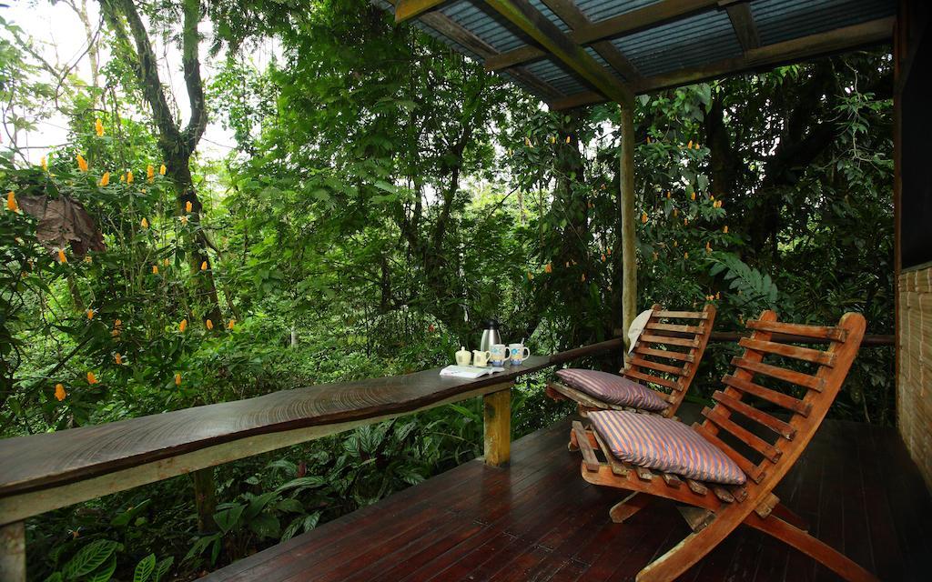 Casa Rio Blanco Eco Friendly B&B Guápiles Екстериор снимка